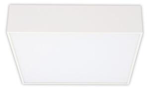 McLED Mold S25 ML-416.067.33.0 Nástěnné, stropní LED osvětlení 25 cm, bílá
