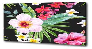 Foto obraz na plátně do obýváku Havajské květiny oc-124413381