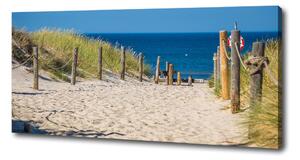Foto obraz na plátně Mořské duny oc-125318135