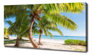 Foto obraz na plátně do obýváku Tropická pláž oc-126132906