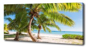 Foto obraz na plátně do obýváku Tropická pláž oc-126132906