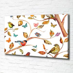 Foto obraz na plátně Ptáci a motýli oc-126221469