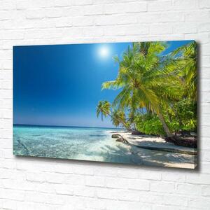 Foto obraz canvas Maledivy pláž oc-126748913