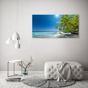 Foto obraz canvas Maledivy pláž oc-126748913