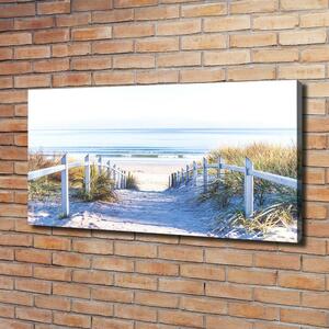 Foto obraz canvas Mořské duny oc-126782883