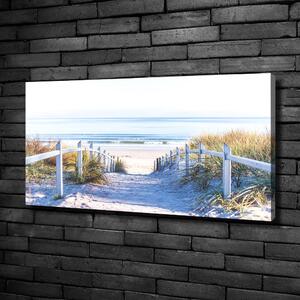 Foto obraz canvas Mořské duny oc-126782883