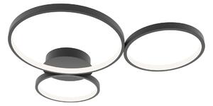 Italux SPL-20452-3-BK LED přisazené stropní svítidlo Maver | 40W LED | 2100lm | 3000-6000K
