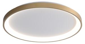 Italux CLN-3151-S-GD LED přisazené stropní svítidlo Raden | 40W LED | 2400lm | 3000-6000K
