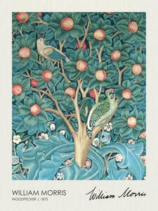 Obrazová reprodukce Woodpecker (1875), William Morris