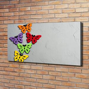 Foto obraz canvas Barevní motýli oc-128188702