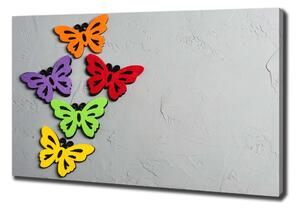 Foto obraz canvas Barevní motýli oc-128188702