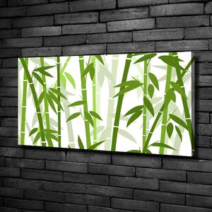 Foto obraz canvas Bambus oc-131568514