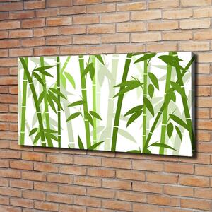 Foto obraz canvas Bambus oc-131568514