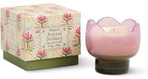 Paddywax Tulip Bronzed Gardenia vonná svíčka 155 g