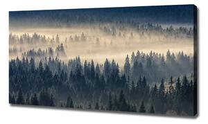Foto obraz na plátně Mlha nad lesem oc-134224571