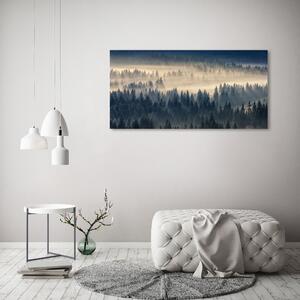 Foto obraz na plátně Mlha nad lesem oc-134224571