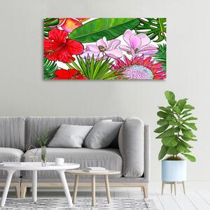 Moderní obraz canvas na rámu Havajské květiny oc-135437708