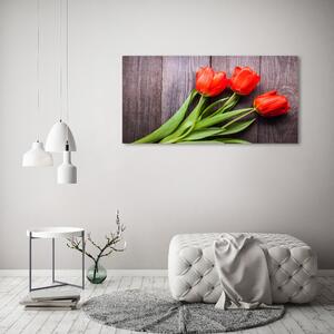 Foto obraz na plátně Červené tulipány oc-137777387