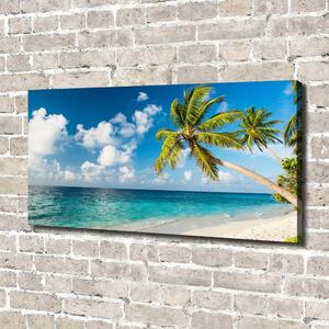 Foto obraz canvas Maledivy pláž oc-139579212