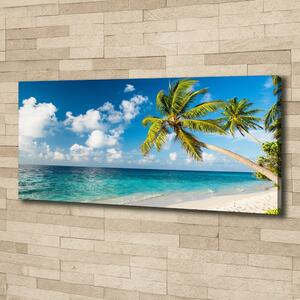 Foto obraz canvas Maledivy pláž oc-139579212
