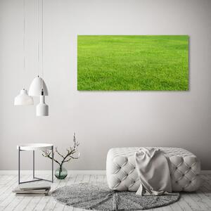 Foto obraz sklo tvrzené Zelená tráva osh-141153462