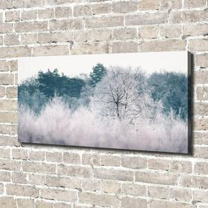 Foto obraz na plátně do obýváku Stromy zimou oc-142936706