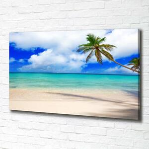 Foto obraz na plátně Karigská pláž oc-143577240