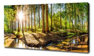 Foto obraz na plátně do obýváku Panorama les oc-145813283