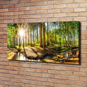 Foto obraz na plátně do obýváku Panorama les oc-145813283