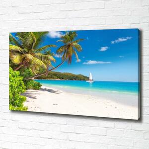 Foto obraz na plátně do obýváku Tropická pláž oc-148078888