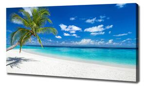 Foto obraz na plátně Tropická pláž oc-151547263
