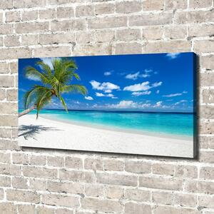 Foto obraz na plátně Tropická pláž oc-151547263