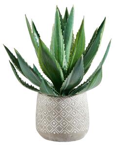 AGÁVE 33 cm - Umělé rostliny, Online Only
