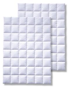 SET PŘIKRÝVEK 2 ks, polyester, 135/200 cm Billerbeck - Ložní soupravy
