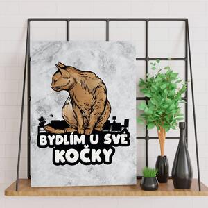 Sablio Dárková cedulka Bydlím u své kočky: 30x40 cm