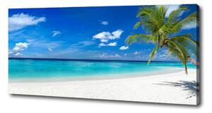 Foto obraz na plátně Tropická pláž oc-158283371