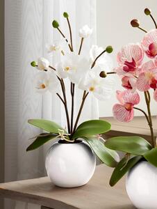 KLiNGEL Orchidej v květináči, bílá