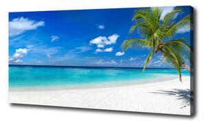 Foto obraz na plátně Tropická pláž oc-158283371