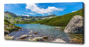 Foto obraz na plátně Údolí Tatry oc-162291569