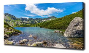 Foto obraz na plátně Údolí Tatry oc-162291569