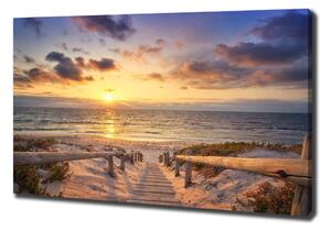 Foto obraz na plátně Stezka na pláž oc-165069331