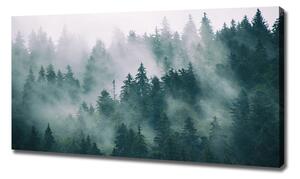 Foto obraz na plátně Mlha nad lesem oc-167720092