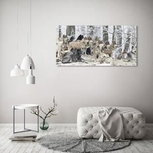 Moderní obraz canvas na rámu Vlci a zima oc-171243935