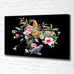 Foto obraz na plátně Květiny a ptáci oc-172830209