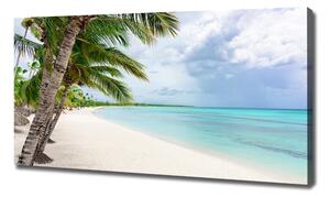 Foto obraz na plátně Tropická pláž oc-176119996