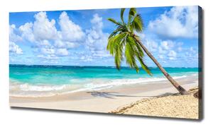 Foto obraz na plátně Tropická pláž oc-178941765