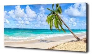 Foto obraz na plátně Tropická pláž oc-178941765