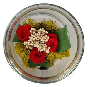 IDARY Stabilizovaná věčná růže ve skleněné dóze - malé červené
