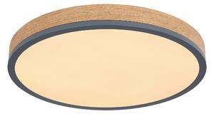 STROPNÍ LED SVÍTIDLO, 45/45/8,5 cm Globo - Online Only svítidla, Online Only