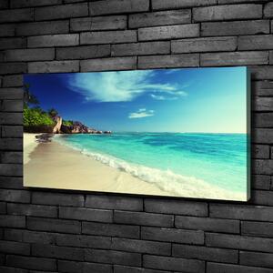 Foto obraz na plátně Seychely pláž oc-188699214